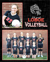 5&6 grade Loboe Volleyball Team photos 2019